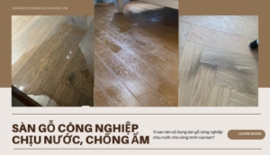 Sàn gỗ công nghiệp chịu nước chống ẩm và những thông tin bạn cần biết