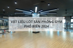 san phong gym pho bien nhat hien nay